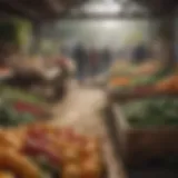 Abundance of fresh produce at a local market