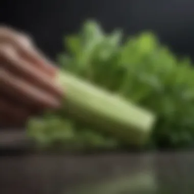 Celery's Antioxidant Power