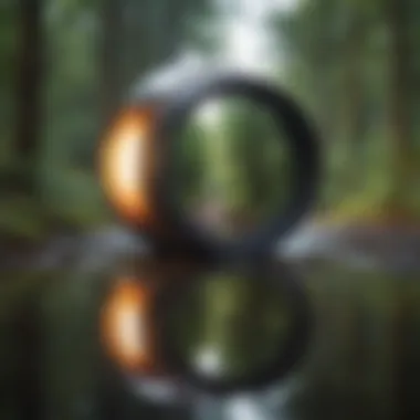 A reflective moment with nature