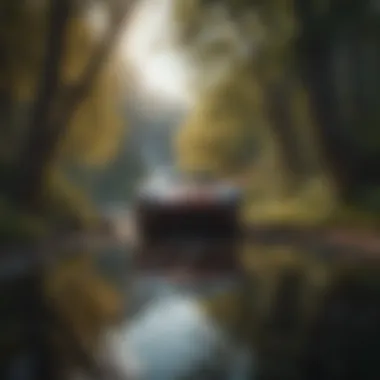 Nature's Influence on Self-Discovery A serene landscape showcasing nature's beauty, representing personal exploration.