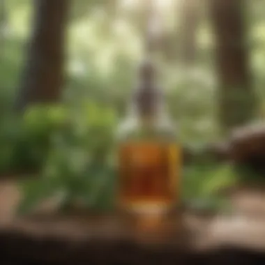 Herbal Solutions to Combat Inflammation Vibrant herbal remedies showcasing natural inflammation fighters