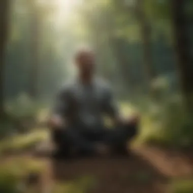 Mindfulness Meditation in Nature Mindfulness meditation in nature