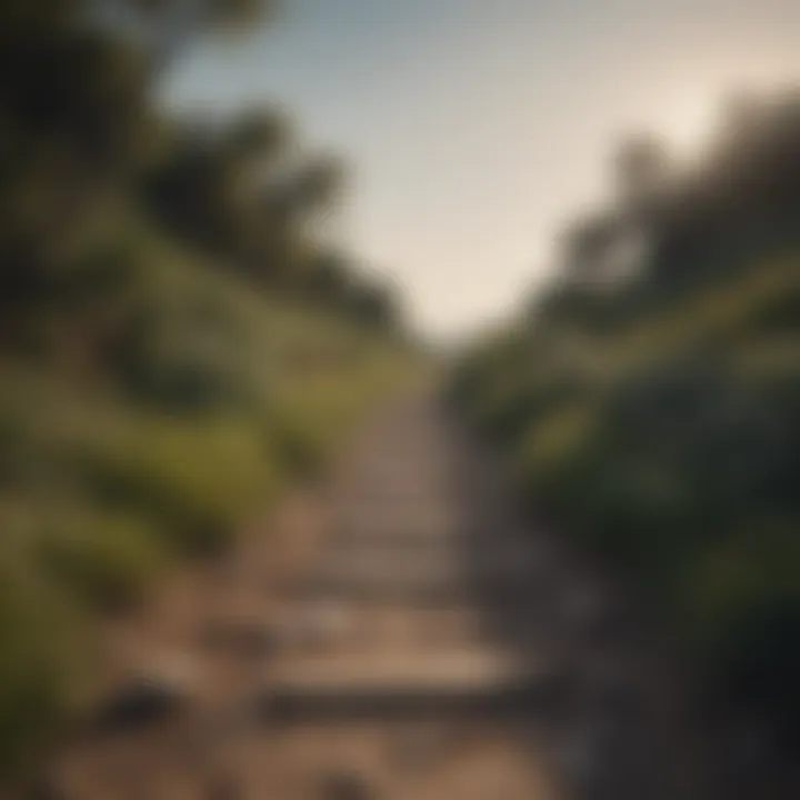 A serene nature landscape with a path leading towards the horizon