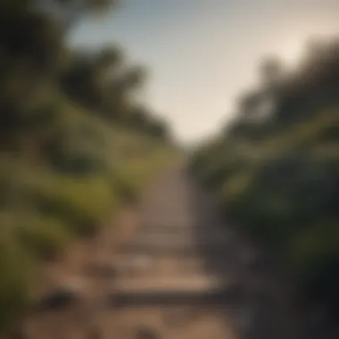 Tranquil Path to Serenity A serene nature landscape with a path leading towards the horizon
