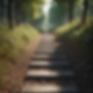 Journey of Personal Development A pathway leading to personal development milestones