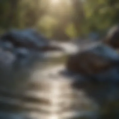 Tranquil Cold Water Setting Tranquil cold water setting