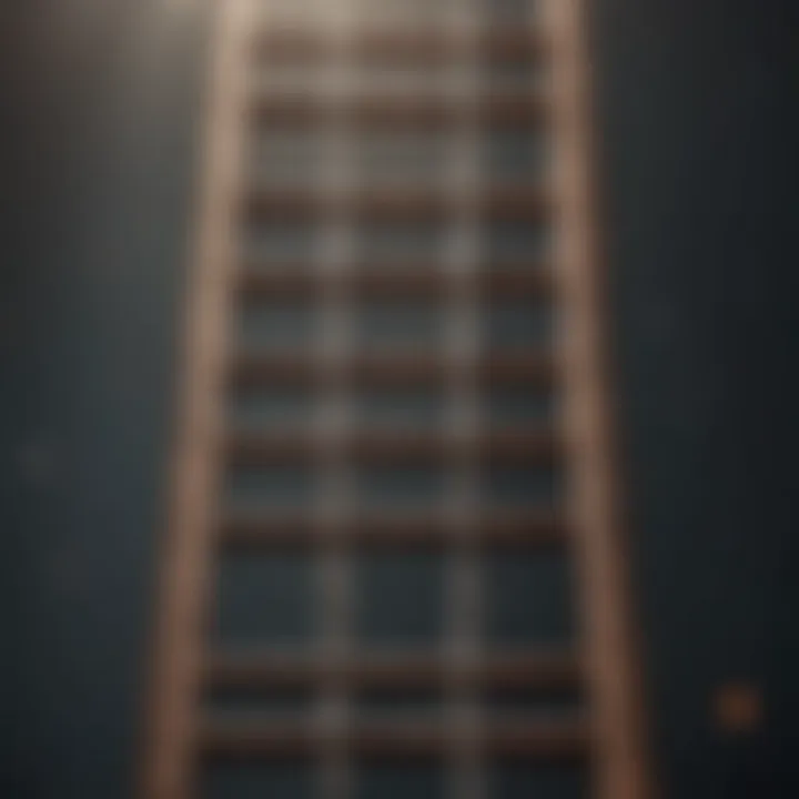 A ladder representing the climb towards financial success