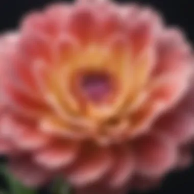 Blossoming into Self-Acceptance A blooming flower representing growth and self-acceptance.