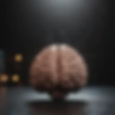 The Science Behind Meditation and Brain Function Visualization of brain activity during meditation