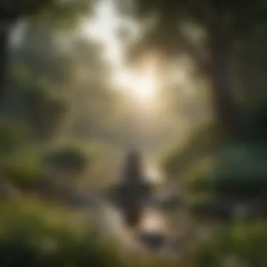 Nature as a Sanctuary for Meditation Tranquil nature scene with a peaceful atmosphere