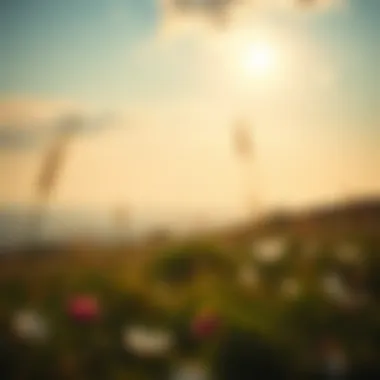 Finding Peace in Passion A serene landscape reflecting tranquility and self-discovery