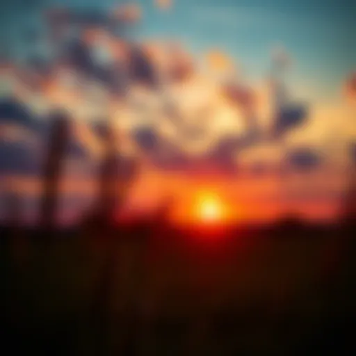 A vibrant sunrise symbolizing new beginnings and passion