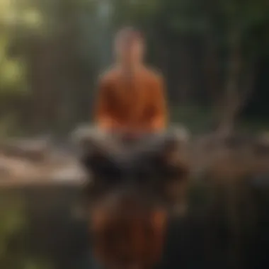 Reflections on the Benefits of Meditation An open journal with reflections on meditation benefits