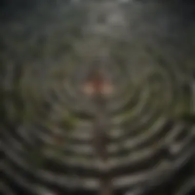 Navigating the Maze of Expectations A maze symbolizing the complexity of personal expectations