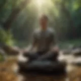 Mindfulness Meditation Technique