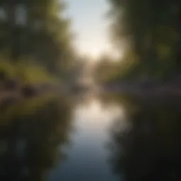 A serene landscape symbolizing personal reflection and growth