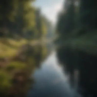 Tranquility and Self-Reflection A serene landscape illustrating tranquility and self-reflection