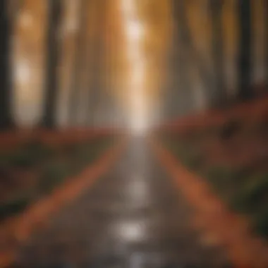 A pathway leading through an autumn forest, representing change and letting go