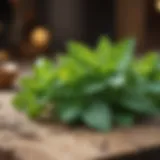 Mint leaves on a wooden surface