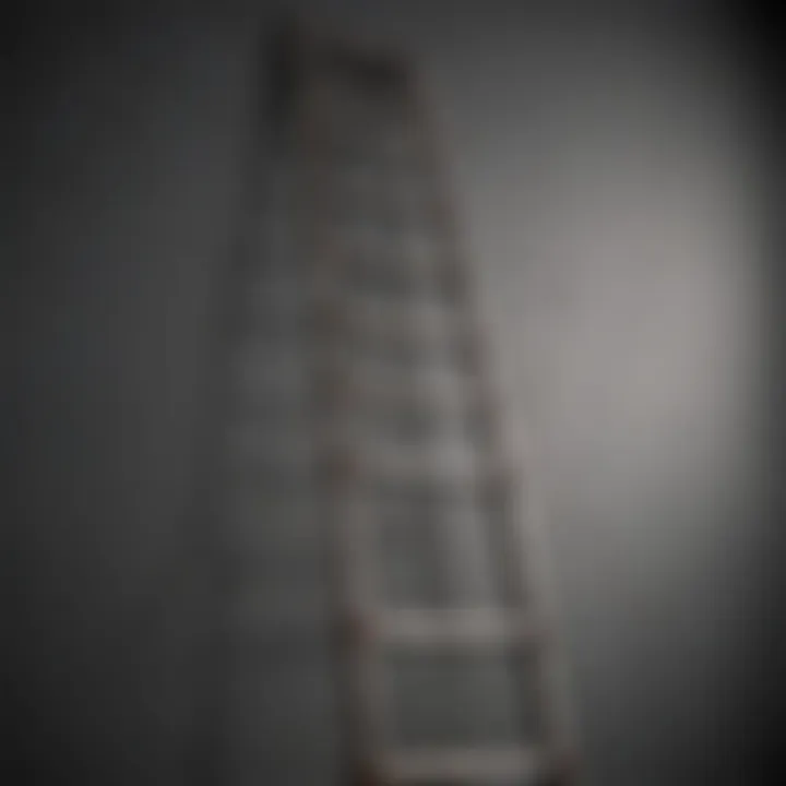 Illustration of a ladder symbolizing progress towards goals