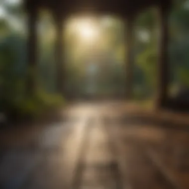 Mindful Meditation: A Pathway to Rapid IQ Enhancement Boosting IQ through Mindful Meditation Practices
