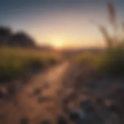 A serene landscape with a sunrise symbolizing new beginnings and motivation