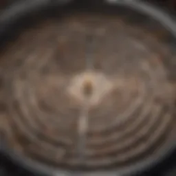 Illustration depicting a labyrinth of decision-making process