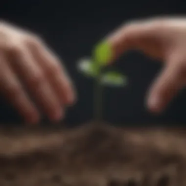 A hand planting a seed representing growth and progress