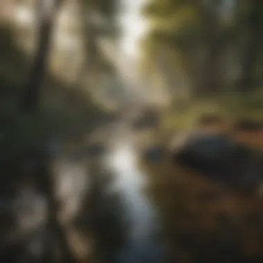 Nature's Embrace: The Beauty of Solitude A serene landscape depicting solitude in nature
