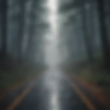 Journey Into the Unknown A road leading into a misty forest symbolizing life's journey