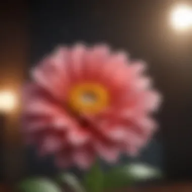 Blooming Through Adversity A blooming flower illustrating personal growth post-rejection