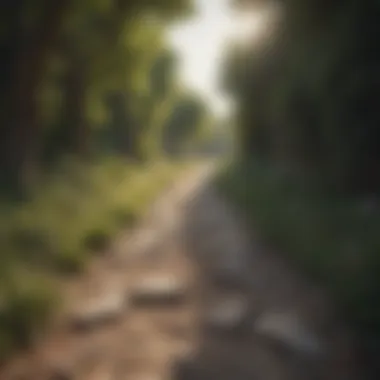 Pathway to Reconnection A pathway winding through a serene setting, illustrating the journey toward reconnection.