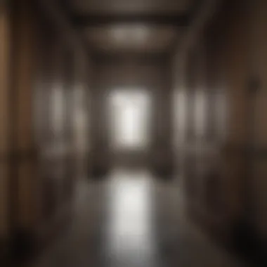 Emotional Readiness A symbolic representation of emotional readiness through an open door.