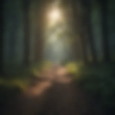 Finding Light in the Depths Pathway leading through a forest with light breaking through the trees