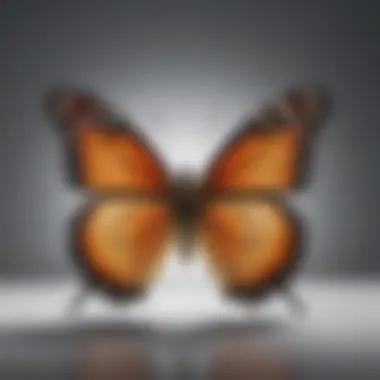 Metamorphosis: Embracing Transformation to Overcome Jealousy Illustration symbolizing overcoming jealousy as a butterfly emerging from a cocoon