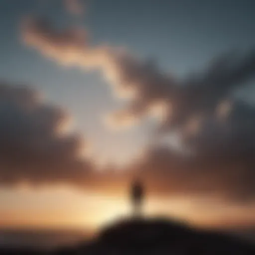 Silhouette of a person looking up towards the horizon