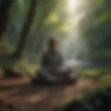 Mindfulness meditation in nature