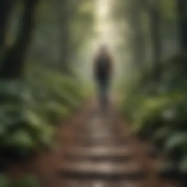 Illustration of a person walking through a lush forest path