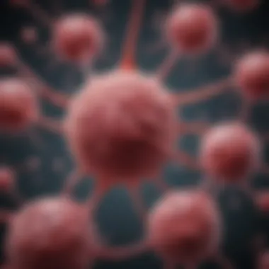 Unleashing Cellular Versatility Versatility of Placenta Stem Cells