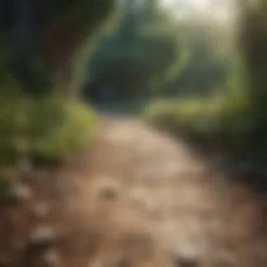 Prosperity Pathway Visualization Prosperity Pathway Visualization