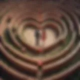 Illustration depicting two hearts intertwined in a maze of emotions