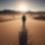 Silhouette of a person standing alone in a vast desert landscape