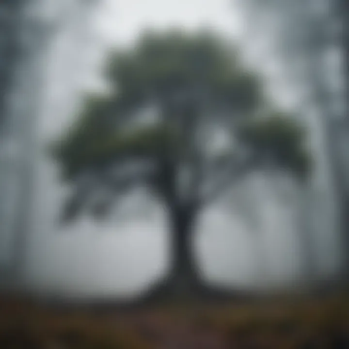 A lone tree standing resilient in the midst of a foggy forest