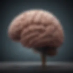 A brain illustrating habit formation pathways