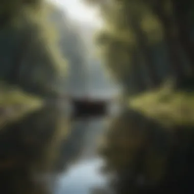Serenity in Nature A serene landscape symbolizing peace of mind