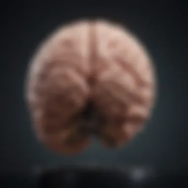 Harnessing Cognitive Abilities Conceptual illustration of brain power