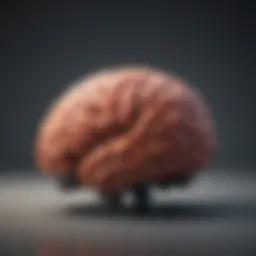 Brain illustrating confidence concepts