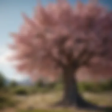 Flourishing Potential A blooming tree representing the flourishing of potential and possibilities