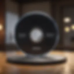 Visual representation of the DISC model