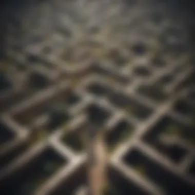 A maze representing the complexities of achieving life goals